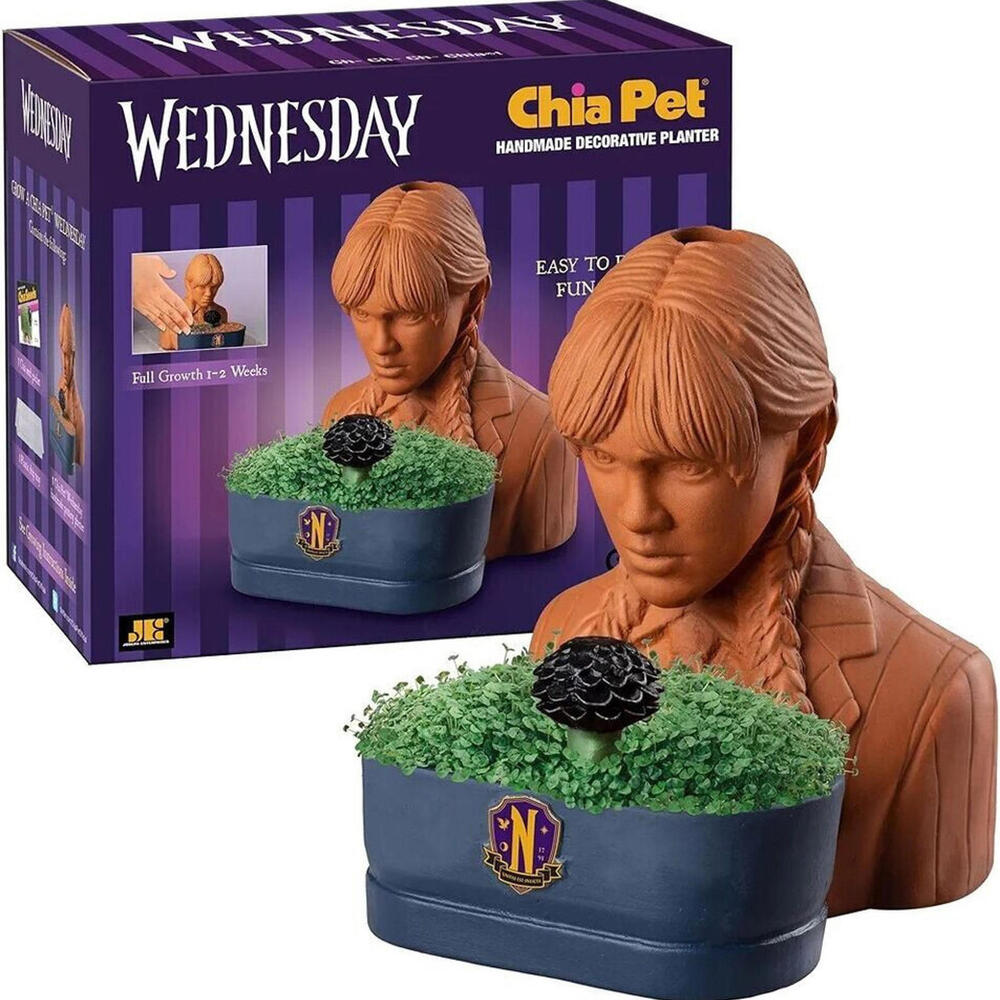 Chia Pet - Addam’s Family - WEDNESDAY - Decorative Pottery Planter -Easy to Grow